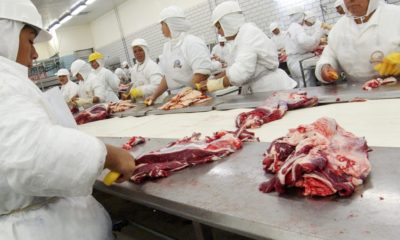 Frigorífico e pessoas cortando carne