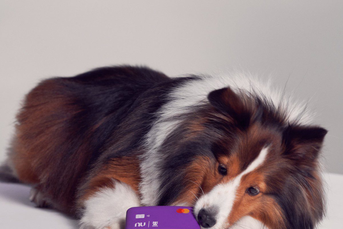 Nubank e Zee.Dog lançam o Nudog, cartão para cachorro