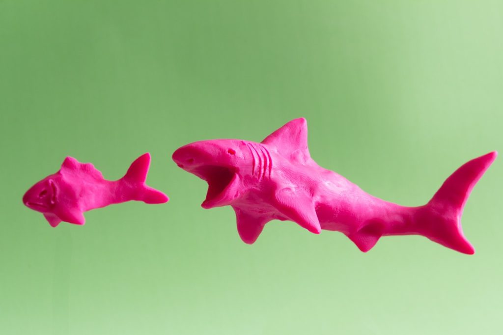 "Tubarão" e "sardinha" são jargões do mercado financeiro. (Foto: Antonio Jose Cespedes por Pixabay)
