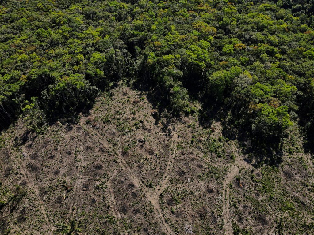 Região desmatada na Amazônia
