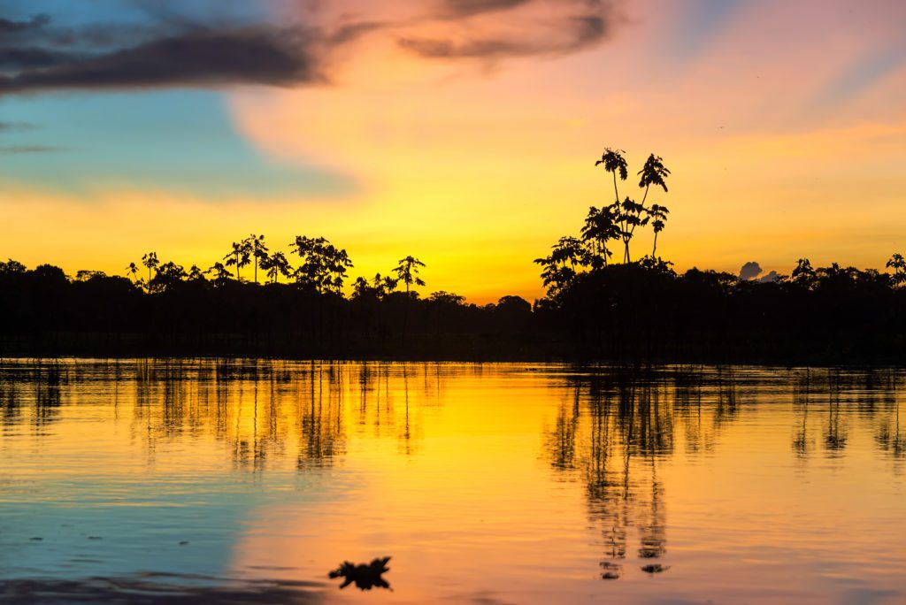 Pôr do sol visto da floresta amazônica