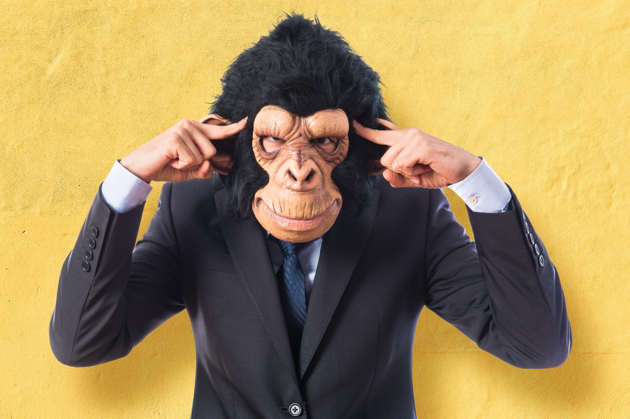 O macaco de Wall Street? Conheça a história de 2 primatas