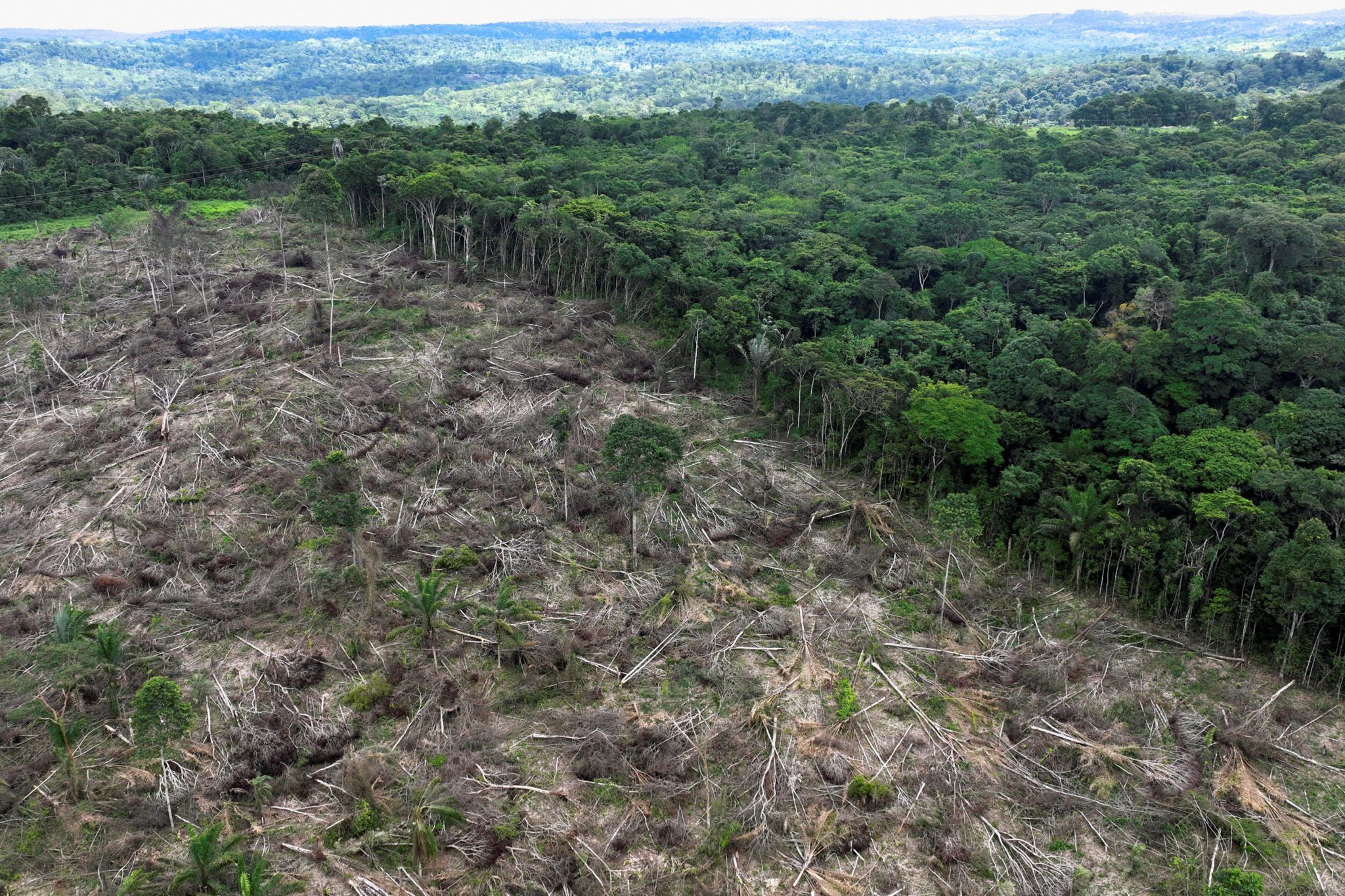 Vista aérea de área desmatada em Uruará, Pará