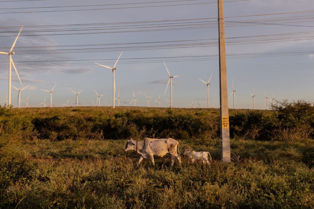 O Brasil é abençoado com amplos espaços abertos nas partes mais ventosas do país e uma rede elétrica nacional interligada. (Foto: Maria Magdalena Arrellaga/Bloomberg)