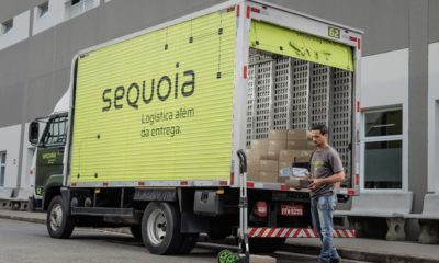 Sequoia (Foto: Divulgação)