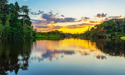 Reflexo de um pôr do sol em uma lagoa dentro da Bacia da Floresta Amazônica. A bacia do rio Amazonas compreende os países Brasil, Bolívia, Colômbia, Equador, Guiana, Suriname, Peru e Venezuela.