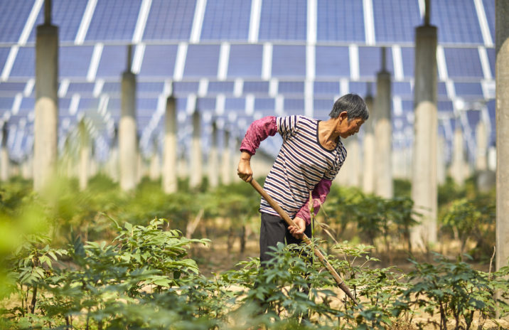 Fazendas solares ocupam espaço de terras agrícolas na China