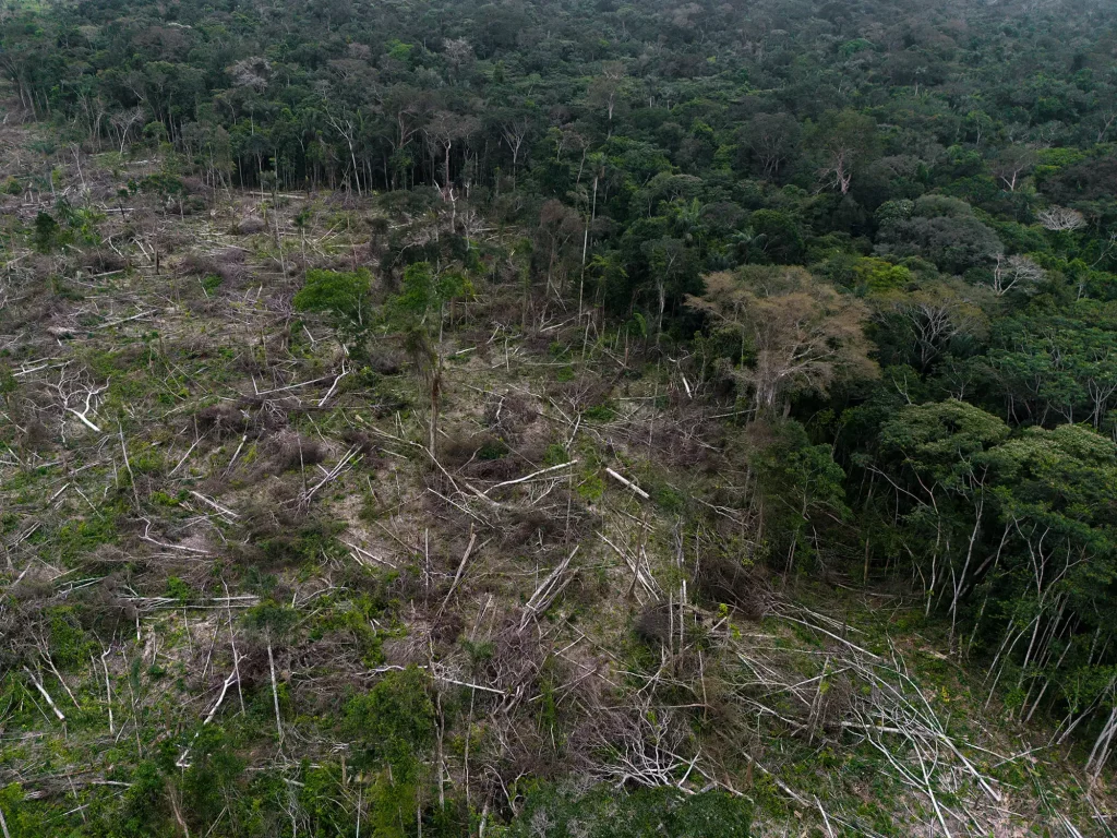 Mata Atlântica