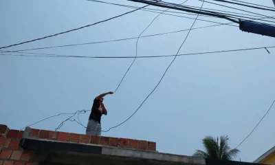 Gato de energia no Amazonas