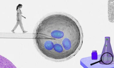 Ilustração mostra um óvulo sendo fertilizado