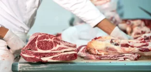 Trabalhador em um frigorífico, vestindo uniforme branco e luvas descartáveis, corta pedaços de carne bovina com uma faca sobre um balcão de aço inoxidável.