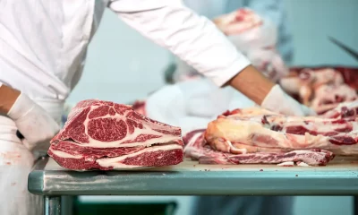 Trabalhador em um frigorífico, vestindo uniforme branco e luvas descartáveis, corta pedaços de carne bovina com uma faca sobre um balcão de aço inoxidável.