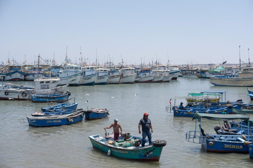 Ao largo da costa peruana, uma das zonas pesqueiras mais ricas do mundo está sob pressão