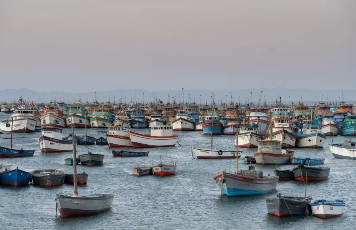 China invade águas da América Latina com navios pesqueiros e esmaga produtores locais