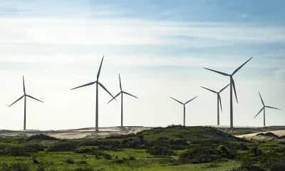 Campo de turbinas eólicas em paisagem costeira com vegetação rasteira e céu parcialmente nublado.