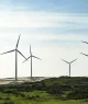 Campo de turbinas eólicas em paisagem costeira com vegetação rasteira e céu parcialmente nublado.