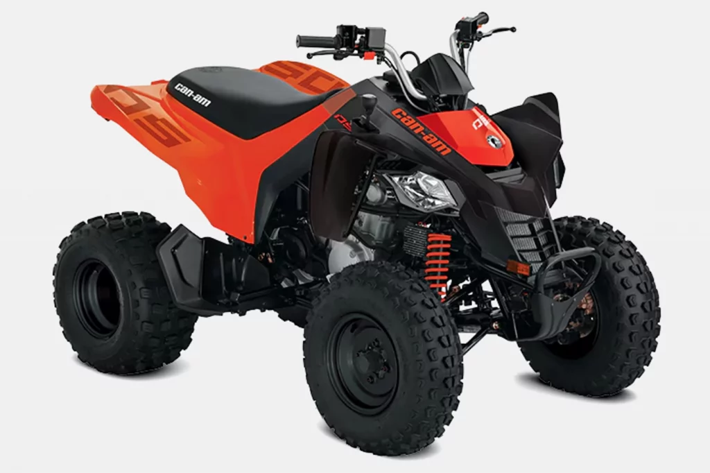 Quadriciclo DS 250 2023